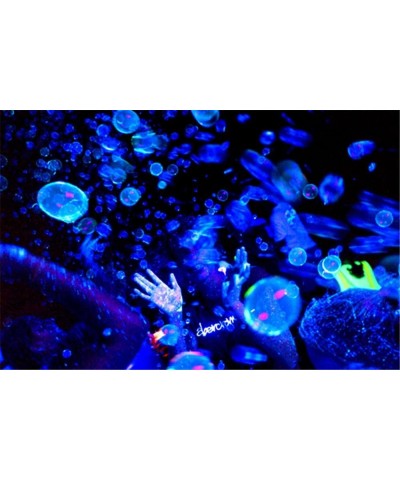 Tekno TB350B Glowing Bubble Fluid-Blue (Half Gal) Bubble Machine Fluid $51.32 Bubble Blowing Products