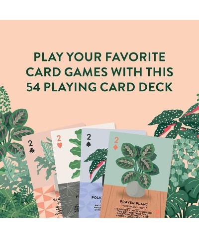 Houseplants Playing Cards: 54 Illustrated Playing Cards $27.54 Card Games