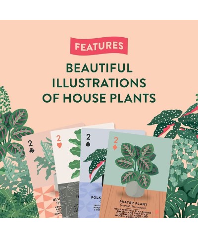 Houseplants Playing Cards: 54 Illustrated Playing Cards $27.54 Card Games