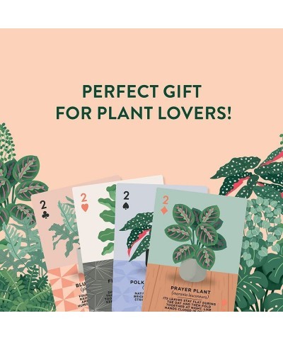 Houseplants Playing Cards: 54 Illustrated Playing Cards $27.54 Card Games