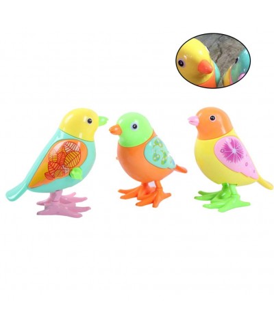 3pcs Wind Up Toy Plastic Clockwork Bird Toy Wind Up Animal Party Favors Toy Gift for Boys Girls Kids Toddlers (Random Color) ...