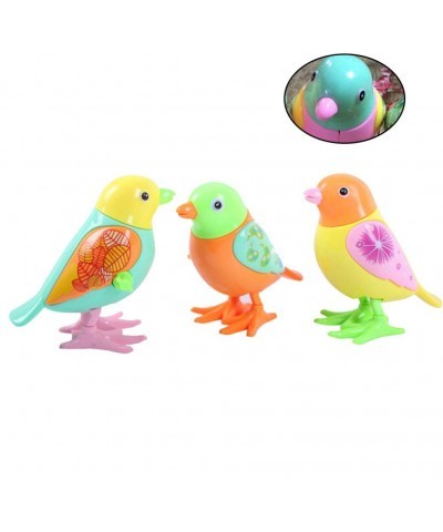 3pcs Wind Up Toy Plastic Clockwork Bird Toy Wind Up Animal Party Favors Toy Gift for Boys Girls Kids Toddlers (Random Color) ...