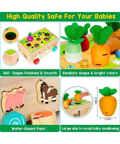 Toddlers Montessori Toys for 2 3 4 Year Old Baby Boys and Girls Educational Wooden Shape Sorting Toys with Vegetables & Farm ...