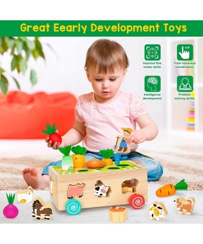 Toddlers Montessori Toys for 2 3 4 Year Old Baby Boys and Girls Educational Wooden Shape Sorting Toys with Vegetables & Farm ...