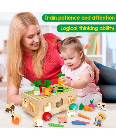 Toddlers Montessori Toys for 2 3 4 Year Old Baby Boys and Girls Educational Wooden Shape Sorting Toys with Vegetables & Farm ...