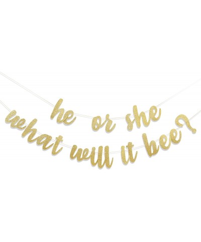 He or She What Will It Bee - Gender Reveal Banner Baby Shower Banner One Banner 1st Birthday Boy/girl 1st Birthday Banner Bab...