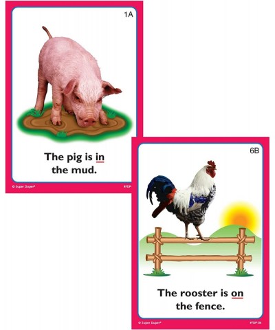 | Pigs & Pals Preposition Fun Deck Flash Cards | Educational Learning Resource for Children $26.95 Electronic Learning & Educ...