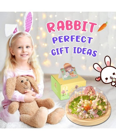 Make Your Own Night Light Rabbit DIY Kits for Girls Bunny Toys for Kids Ages 4-8 Arts and Crafts Lamp Project for Girls(USB U...