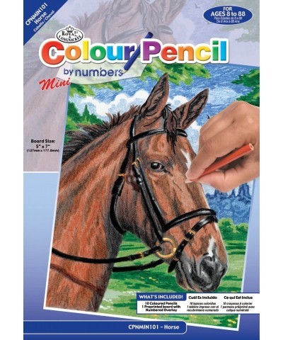 Mini Color Pencil By Number Kits Horse $14.10 Craft Kits