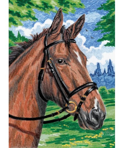 Mini Color Pencil By Number Kits Horse $14.10 Craft Kits