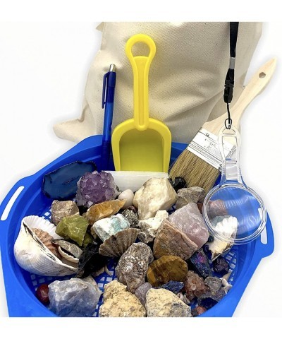 Rock Collection & Mystery Boxes. Discover 25+ Gemstones Real Crystals Break Your Own Geodes Shark Teeth & Fossils + Tools. Sc...