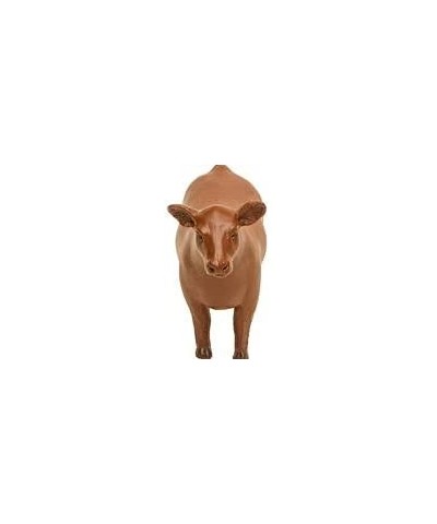 County Fair Livestock Show Toys – Bull Steer Heifer Farm Animal Toys Bundle $81.60 Play Figure Playsets