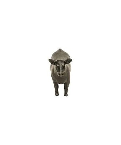 County Fair Livestock Show Toys – Bull Steer Heifer Farm Animal Toys Bundle $81.60 Play Figure Playsets