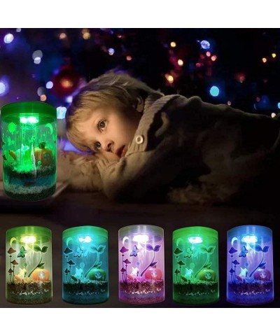 Light up Terrarium Kit for Kids with LED Light on Lid - Stem Plant Educational Toys - DIY Your own Mini Garden in a Jar which...