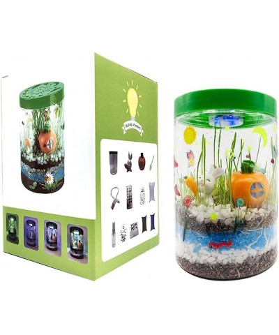 Light up Terrarium Kit for Kids with LED Light on Lid - Stem Plant Educational Toys - DIY Your own Mini Garden in a Jar which...