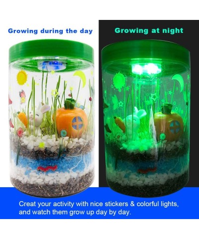 Light up Terrarium Kit for Kids with LED Light on Lid - Stem Plant Educational Toys - DIY Your own Mini Garden in a Jar which...