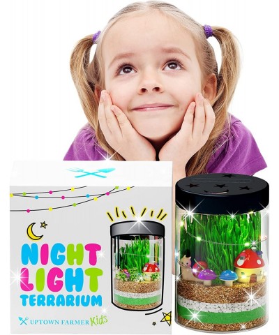 Terrarium Kit for Kids - Light Up Terrarium Kit for Kids - Science Kits for Kids - Learning & Education Toys - Kids Plant Gro...