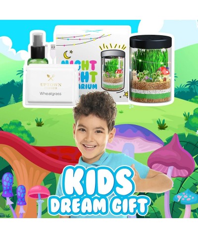 Terrarium Kit for Kids - Light Up Terrarium Kit for Kids - Science Kits for Kids - Learning & Education Toys - Kids Plant Gro...