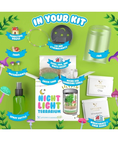 Terrarium Kit for Kids - Light Up Terrarium Kit for Kids - Science Kits for Kids - Learning & Education Toys - Kids Plant Gro...