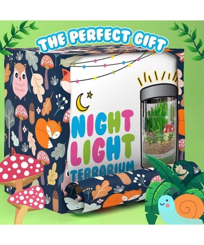 Terrarium Kit for Kids - Light Up Terrarium Kit for Kids - Science Kits for Kids - Learning & Education Toys - Kids Plant Gro...