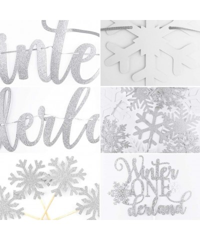 Winter Onederland 1st Birthday Party Decorations Glitter Silver Winter Onederland Banner Cake Topper Snowflake Balloons Garla...