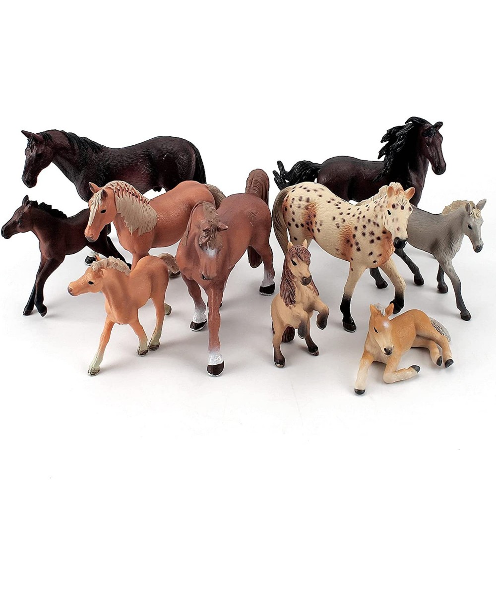 10PCS Realistic Horses Club Trakehner Foal Clydesdale Horse Figurine Hanoverian Foal Figure Morgan Horse Toy Appaloosa Horse ...