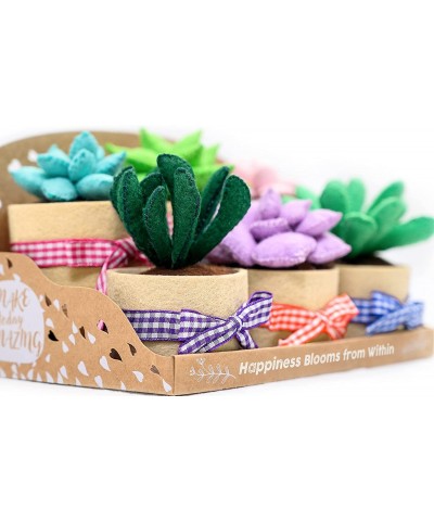 Felt Succulents Craft Kit. Make 6 Potted Colorful Plushies & A Display Rack. Mini Garden DIY Sewing Project Activity Set Arts...