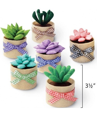 Felt Succulents Craft Kit. Make 6 Potted Colorful Plushies & A Display Rack. Mini Garden DIY Sewing Project Activity Set Arts...