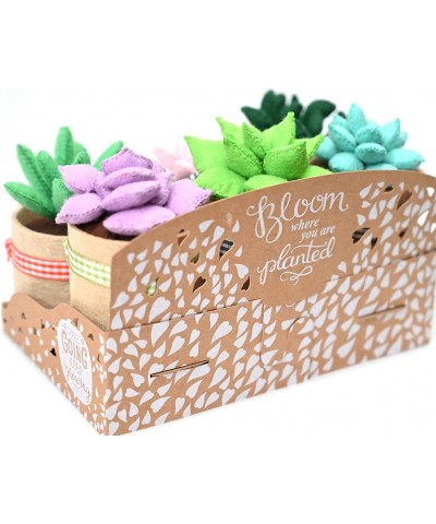 Felt Succulents Craft Kit. Make 6 Potted Colorful Plushies & A Display Rack. Mini Garden DIY Sewing Project Activity Set Arts...