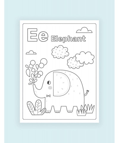 Mess Free Coloring Set - Animals of The Alphabet Kids Create No Mess Wonders with Special Coloring Paper Gift for Toddlers an...