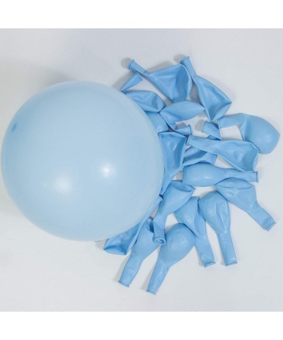 Princess Pink and Blue Balloon Arch Garland Kit-134Pcs Macaron Pink Balloon Blue Balloon Silver Chrome Balloon for Girl's Bir...