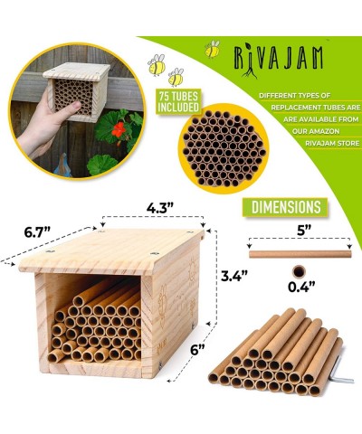 Build a Bee House DIY Woodworking Project | Solitary Mason Bee House Nesting Box Wood Building Kit & Tools | Garden Arts & Cr...