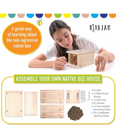 Build a Bee House DIY Woodworking Project | Solitary Mason Bee House Nesting Box Wood Building Kit & Tools | Garden Arts & Cr...