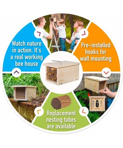 Build a Bee House DIY Woodworking Project | Solitary Mason Bee House Nesting Box Wood Building Kit & Tools | Garden Arts & Cr...