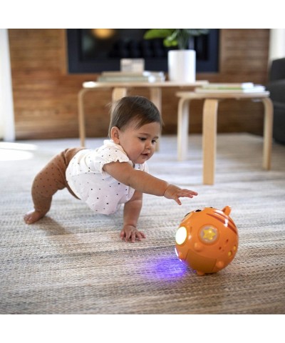 Tinker's Crawl Along Songs Tummy-Time Musical Toy with Lights Ages 6 Months + $25.69 Baby Musical Toys