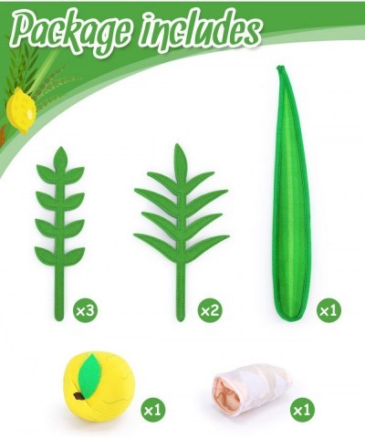 Sukkot Plush Lulav and Etrog Set Children's Sukkot Toys Sukkah Party Decorations Kids Sukkot Gift $26.71 Plush Figure Toys