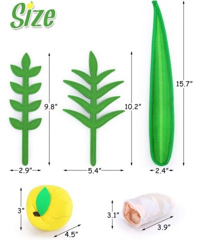 Sukkot Plush Lulav and Etrog Set Children's Sukkot Toys Sukkah Party Decorations Kids Sukkot Gift $26.71 Plush Figure Toys