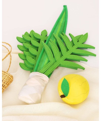 Sukkot Plush Lulav and Etrog Set Children's Sukkot Toys Sukkah Party Decorations Kids Sukkot Gift $26.71 Plush Figure Toys