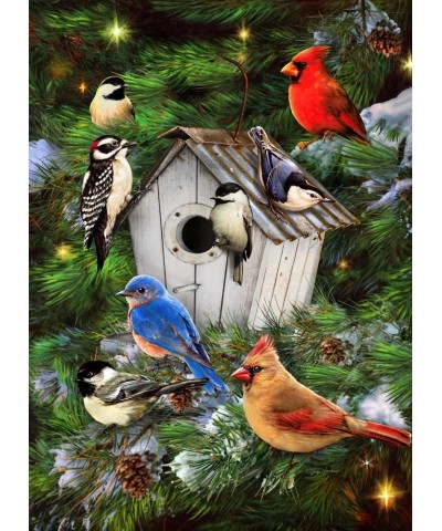 Winter Birdhouse Jigsaw Puzzle 1000 Piece $30.33 Jigsaw Puzzles