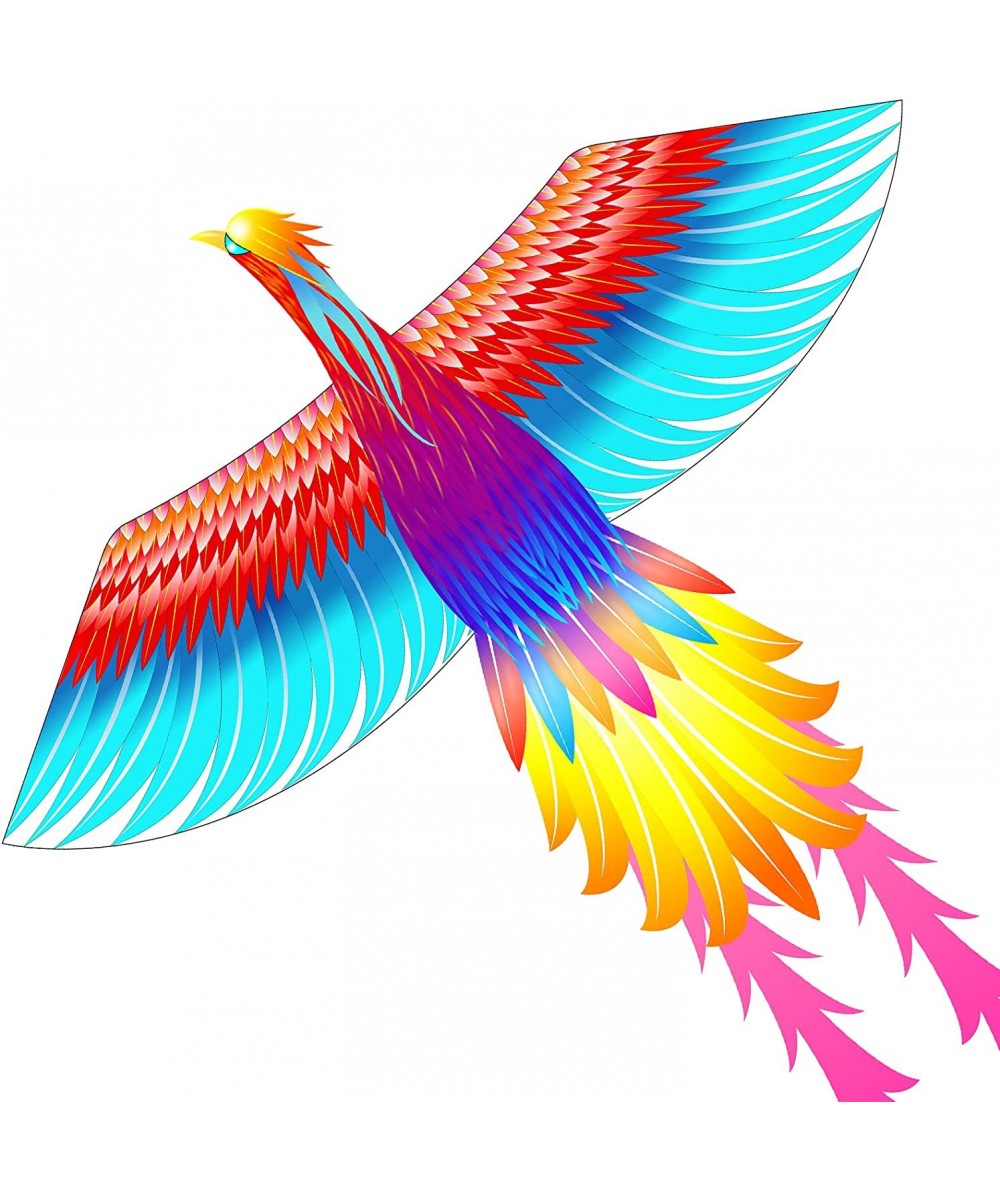 Mint’s Colorful Life Rainbow Phoenix Kite for Kids and Adults Easy to Fly Large Beach Kites $42.33 Kites & Wind Spinners