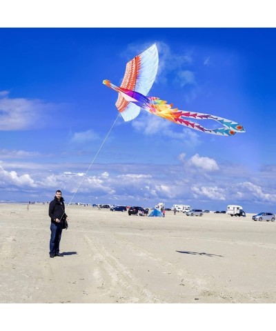 Mint’s Colorful Life Rainbow Phoenix Kite for Kids and Adults Easy to Fly Large Beach Kites $42.33 Kites & Wind Spinners