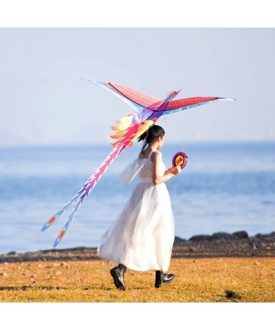 Mint’s Colorful Life Rainbow Phoenix Kite for Kids and Adults Easy to Fly Large Beach Kites $42.33 Kites & Wind Spinners