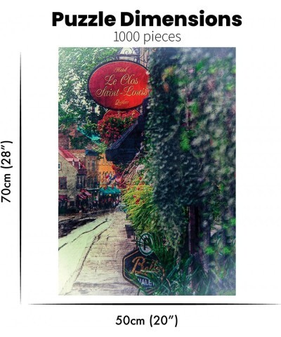 Stroll Fine Art Cobblestone Jigsaw Puzzle 1000 Pieces for Adults and Teens $41.95 Jigsaw Puzzles