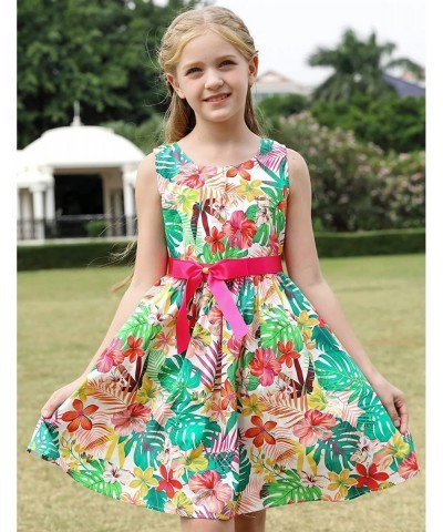 Kid Floral Cotton Girls Dresses Summer Girl Clothes $25.52 Kids' Costumes