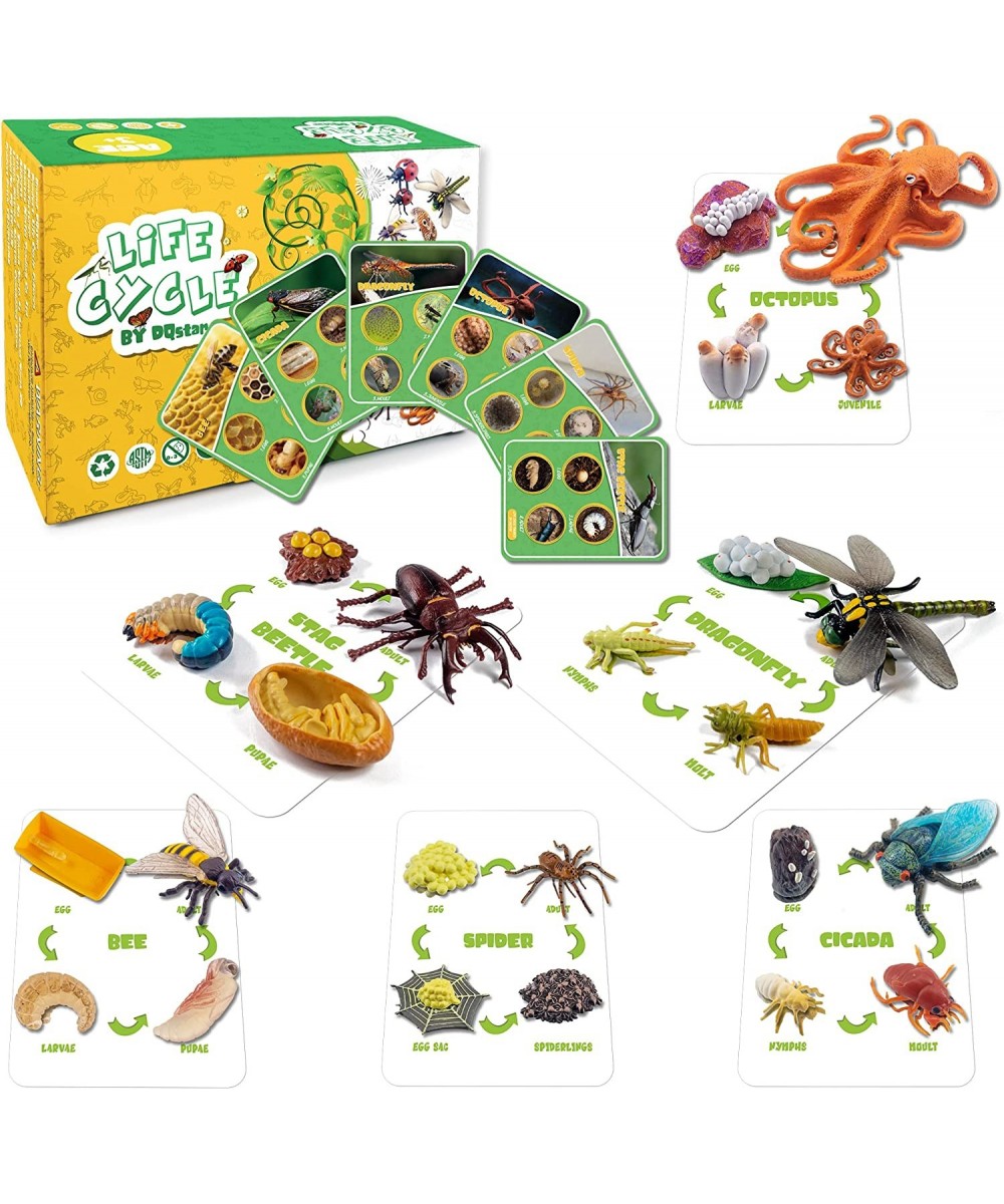 Life Cycle Figures of Bee Stag Beetle Spider Dragonfly Octopus Cicada Science Toys kit Early Education Animal Figures for Kid...