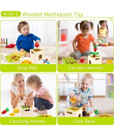 Montessori Toys for 1 2 3 Year Old Toddlers Boys Girls Sensory Wooden Object Permanence Box Gifts Toys for Infant Baby 12-18 ...