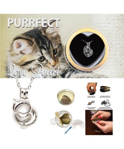 Animals Wish Kit with Pendant Necklace (Kitty Cat) $18.49 Kids' Dress-Up Accessories