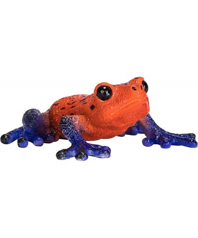 Poison Dart Tree Frog Realistic International Wildlife Hand Painted Toy Figurine $16.31 Kids' Play Animal Figures