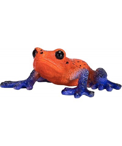 Poison Dart Tree Frog Realistic International Wildlife Hand Painted Toy Figurine $16.31 Kids' Play Animal Figures