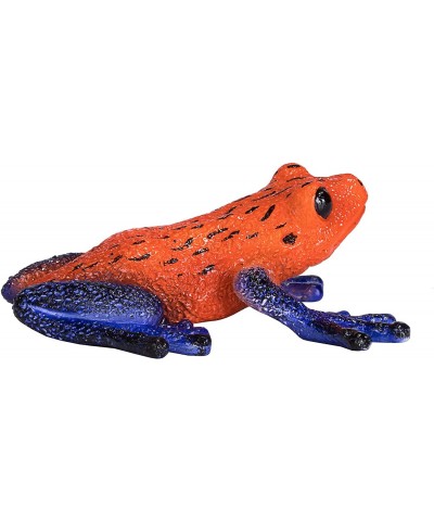 Poison Dart Tree Frog Realistic International Wildlife Hand Painted Toy Figurine $16.31 Kids' Play Animal Figures